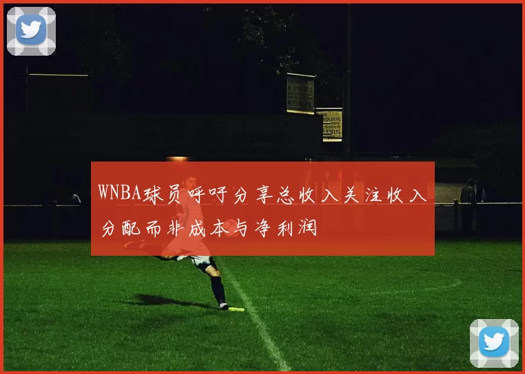 WNBA球员呼吁分享总收入关注收入分配而非成本与净利润